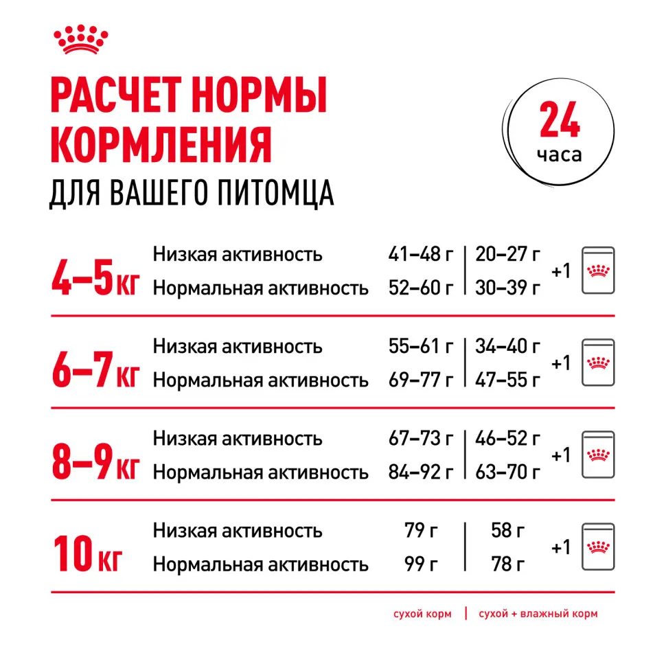 Royal canin maine coon adult сухой корм для взрослых кошек породы мейн - кун - 400 г в интернет-зоомагазине Pets Room