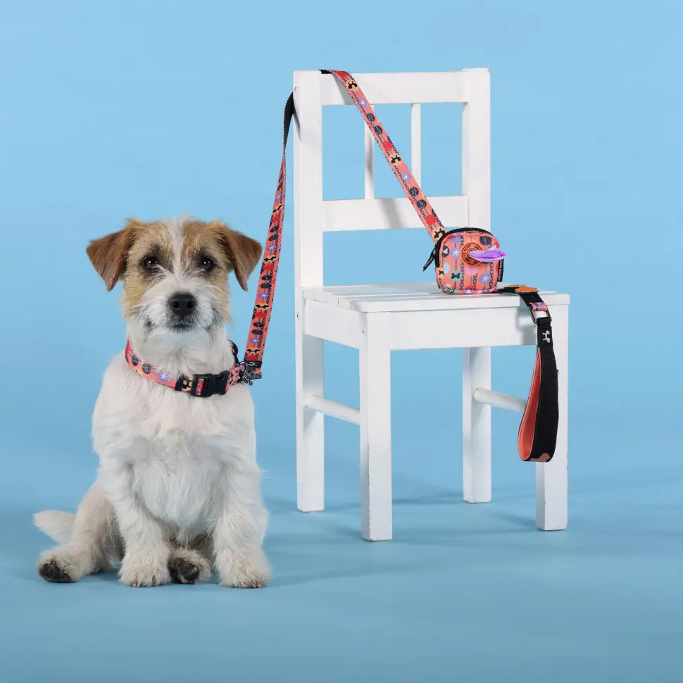 United pets complete me forever поводок для собак, 120 см, 25 мм, оранжевый с рисунком в интернет-зоомагазине Pets Room