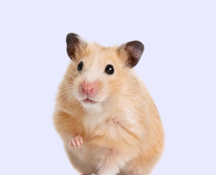 Для грызунов