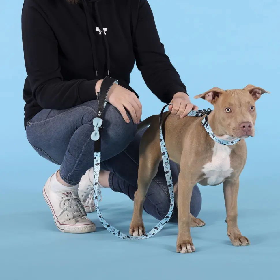 United pets complete me writing ошейник для собак, s 26-40/1,6 см, голубой с рисунком в интернет-зоомагазине Pets Room