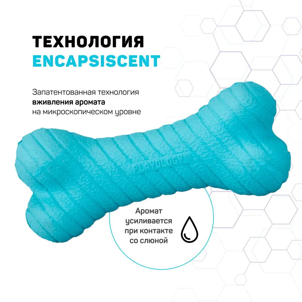 Playology dual layer bone двухслойная жевательная косточка для собак с ароматом арахиса, большая, голубой в интернет-зоомагазине Pets Room