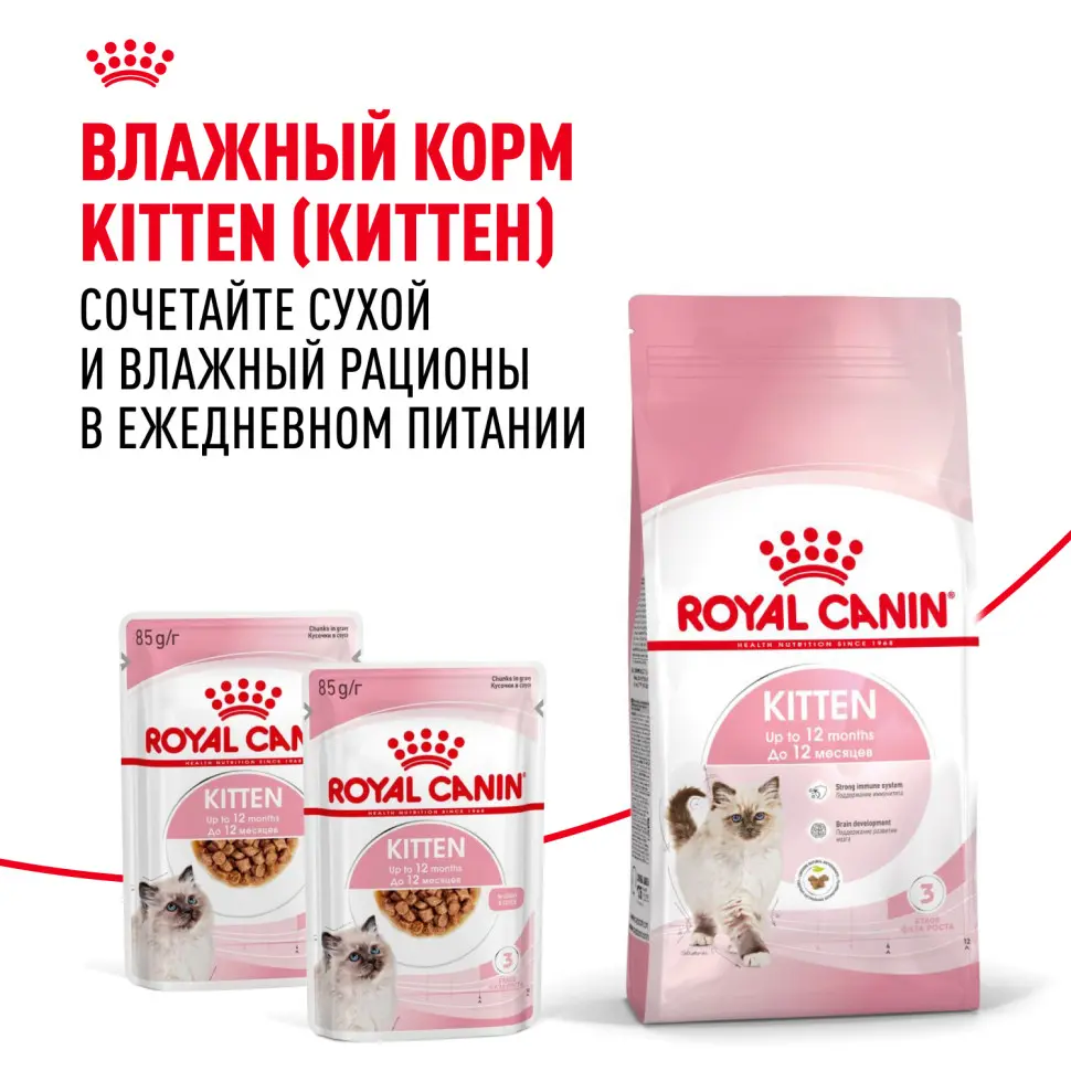 Royal canin kitten 34 сухой корм для котят от 4 до 12 месяцев с птицей - 300 г в интернет-зоомагазине Pets Room