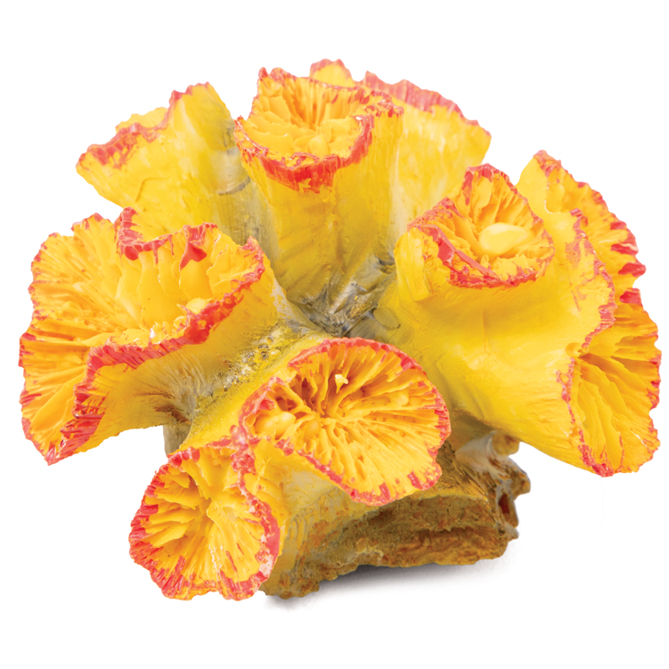 Коралл искусственный "кауластрея", m, желто-красный, 90*85*50мм, laguna в интернет-зоомагазине Pets Room
