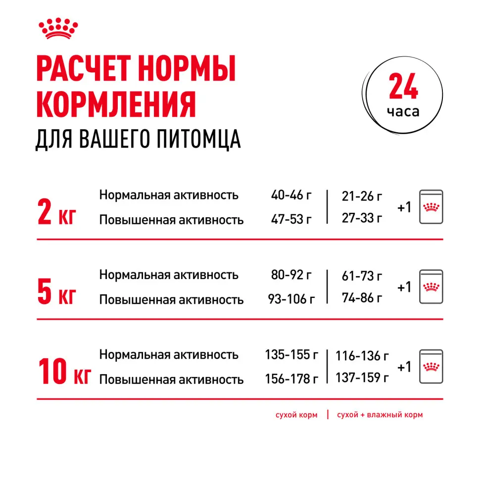 Royal canin mini adult сухой корм для собак мелких пород - 800 г в интернет-зоомагазине Pets Room