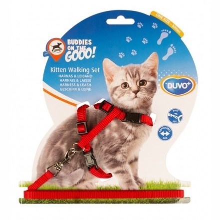 Duvo+ шлейка с поводком для котят, красная, 15-25см/8мм-125см в интернет-зоомагазине Pets Room