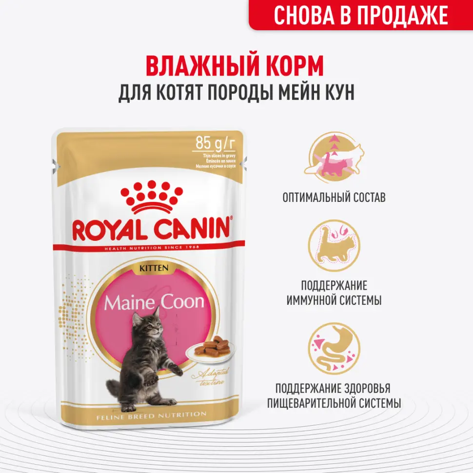Royal canin kitten maine coon 85 г пауч влажный рацион для кошек породы мейн-кун в возрасте от 3 до 15 месяцев в интернет-зоомагазине Pets Room