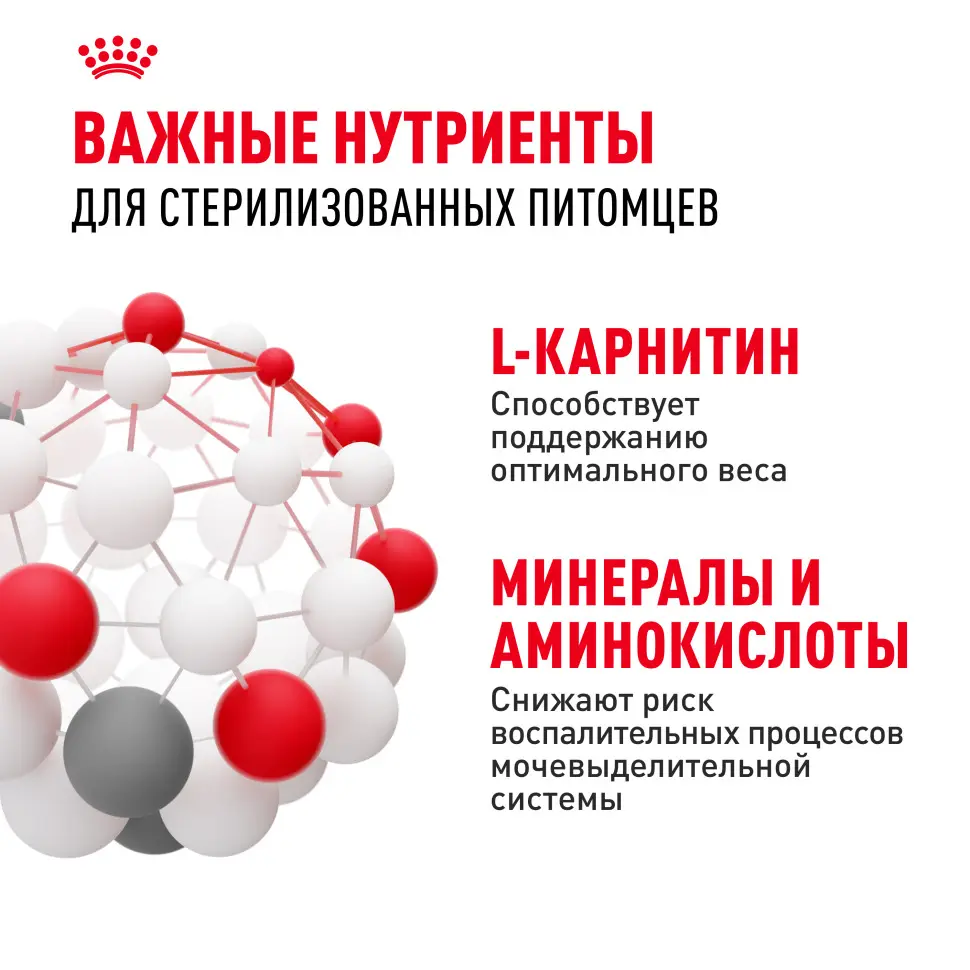 Royal canin sterilised 37 сухой корм для взрослых стерилизованных кошек - 2 кг в интернет-зоомагазине Pets Room