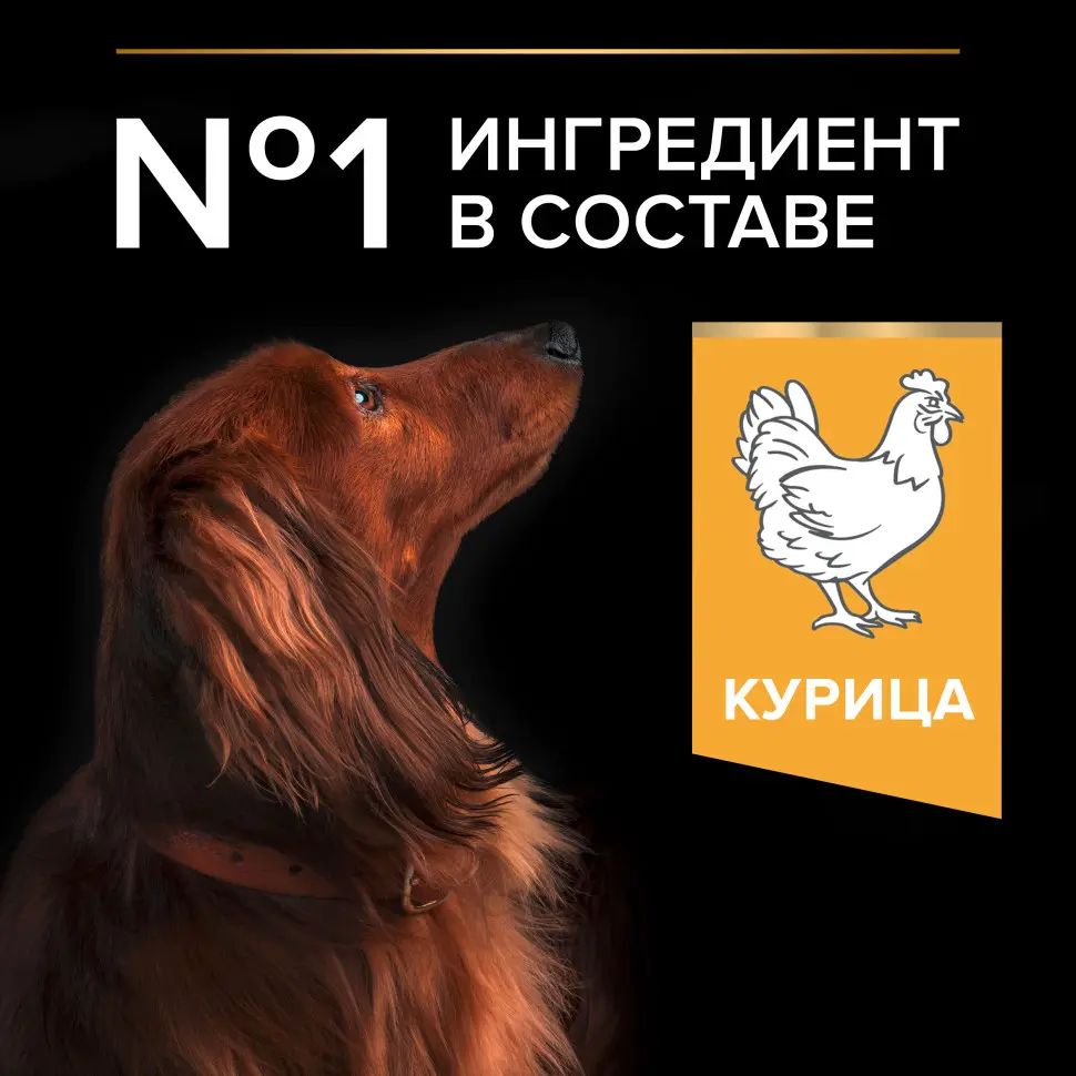 Purina pro plan small & mini сухой корм для взрослых собак миниатюрных и мелких пород с курицей и рисом - 700 г в интернет-зоомагазине Pets Room