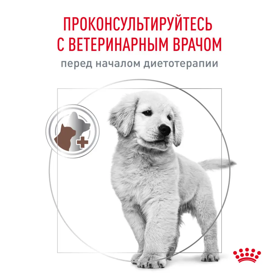 Royal canin gastrointestinal puppy сухой корм для щенков при расстройствах пищеварения - 1 кг в интернет-зоомагазине Pets Room