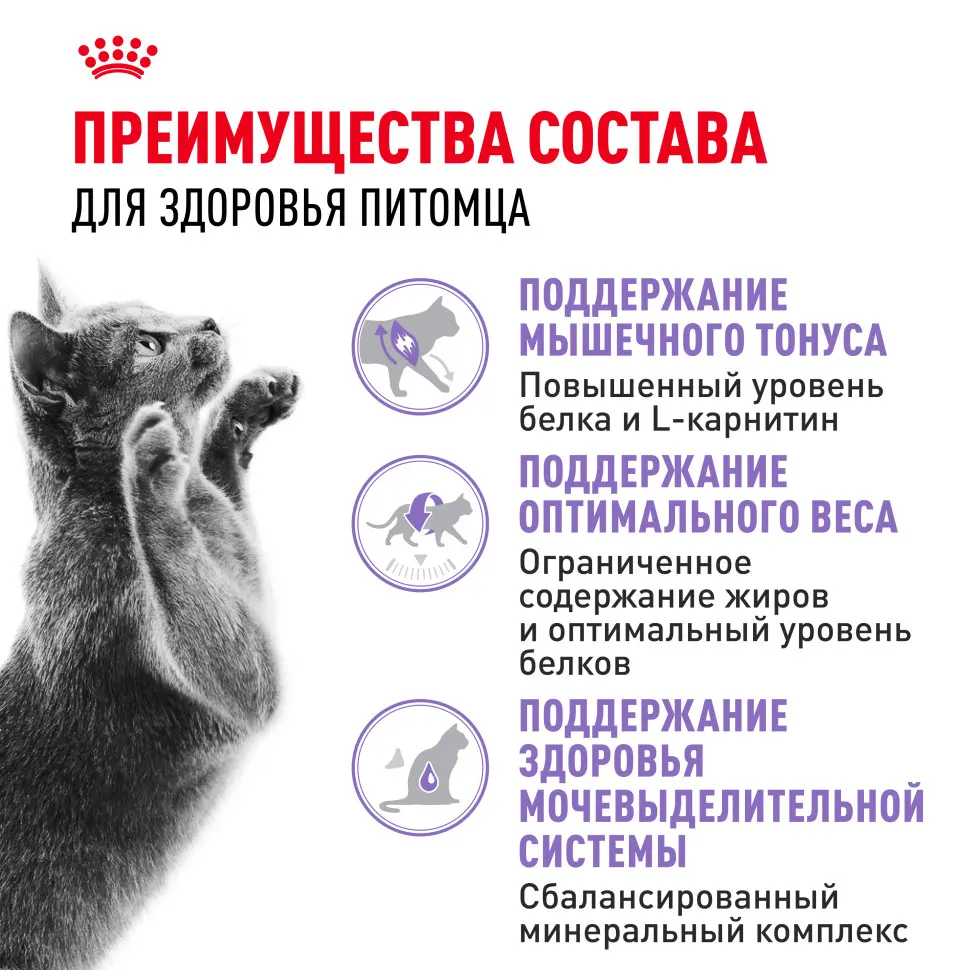 Royal canin sterilised 37 сухой корм для взрослых стерилизованных кошек - 2 кг в интернет-зоомагазине Pets Room
