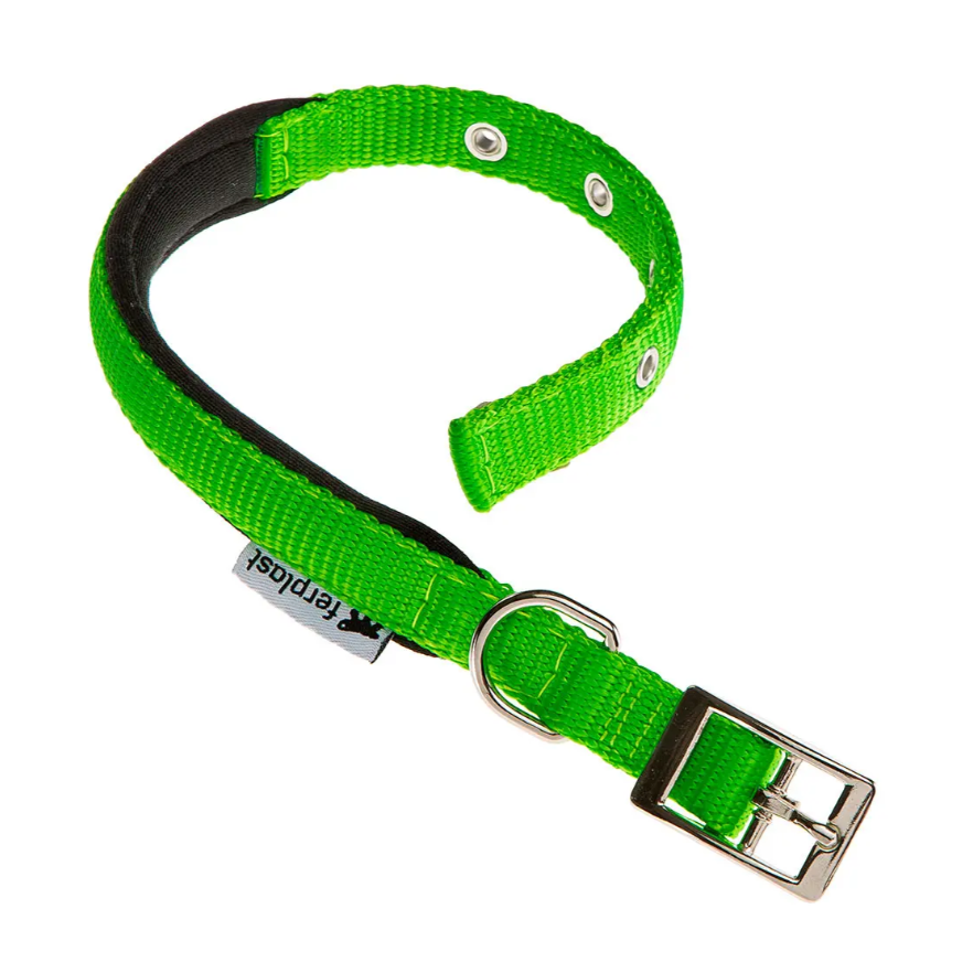 Ошейник daytona c15/35 с мягкой подкладкой, зелёный фото Ошейник daytona c15/35 с мягкой подкладкой, зелёный в интернет-зоомагазине Pets Room