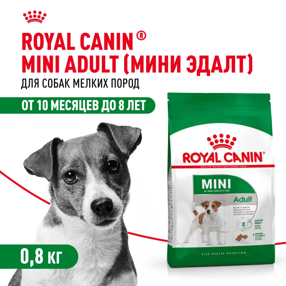 Royal canin mini adult сухой корм для собак мелких пород - 800 г в интернет-зоомагазине Pets Room