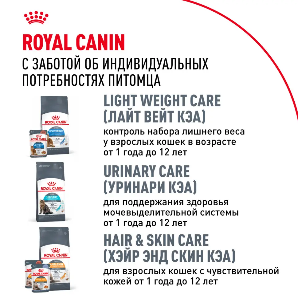 Royal canin maine coon adult сухой корм для взрослых кошек породы мейн - кун - 400 г в интернет-зоомагазине Pets Room