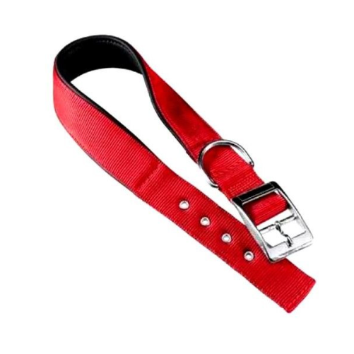 Ошейник daytona c20/43 с мягкой подкладкой, красный фото Ошейник daytona c20/43 с мягкой подкладкой, красный в интернет-зоомагазине Pets Room