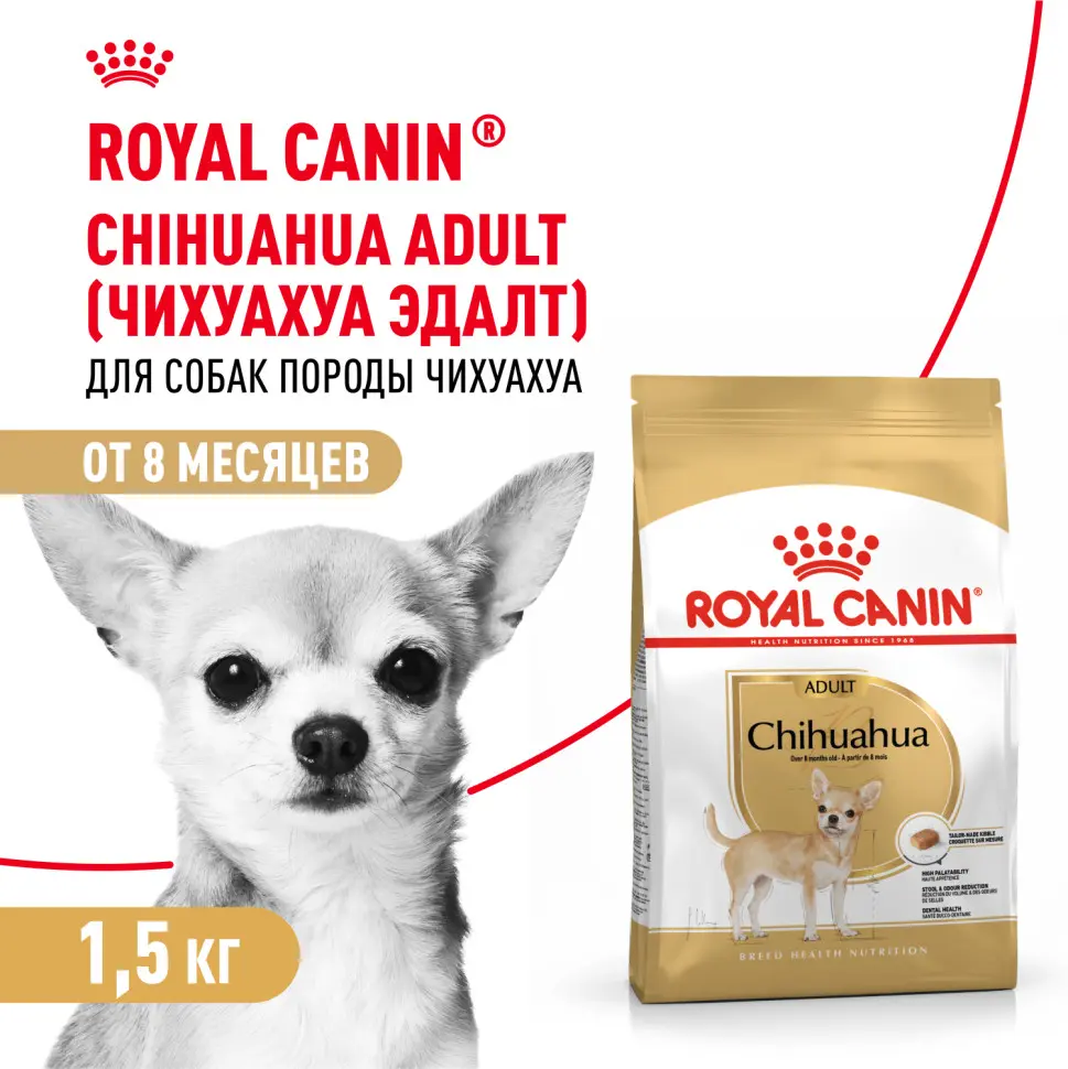 Royal canin chihuahua adult сухой корм для собак породы чихуахуа в возрасте 8 месяцев - 1,5 кг в интернет-зоомагазине Pets Room