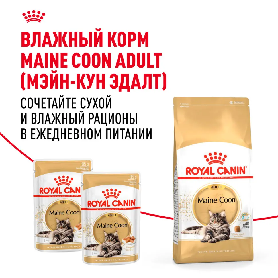 Royal canin maine coon adult сухой корм для взрослых кошек породы мейн - кун - 400 г в интернет-зоомагазине Pets Room