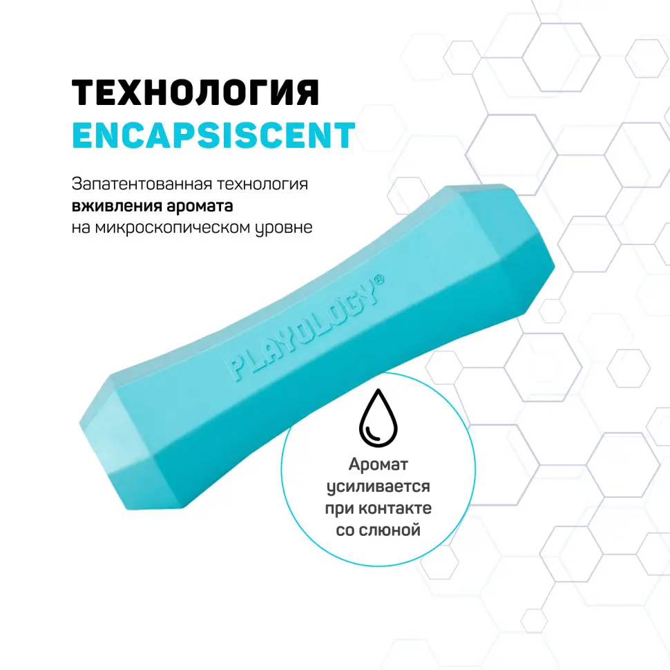 Playology squeaky chew stick хрустящая жевательная палочка для собак с ароматом арахиса, большая, голубой в интернет-зоомагазине Pets Room