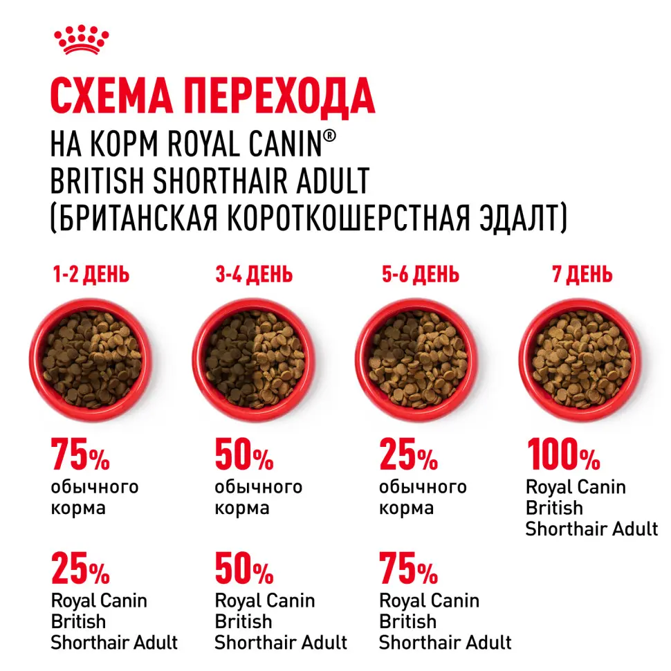 Royal canin british shorthair сухой корм для взрослых кошек породы британская короткошерстная - 400 г в интернет-зоомагазине Pets Room