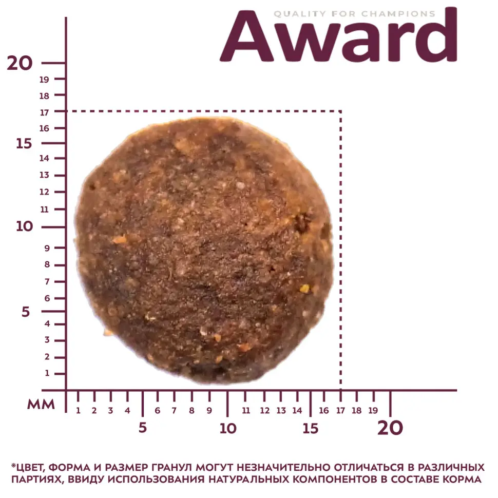 Award сухой корм для взрослых собак крупных пород, с курицей, индейкой, тыквой и шиповником - 2 кг в интернет-зоомагазине Pets Room