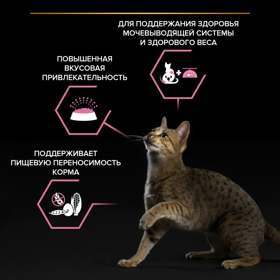 Pro plan cat adult sterilised сухой корм для стерилизованных кошек с курицей - 400 г в интернет-зоомагазине Pets Room