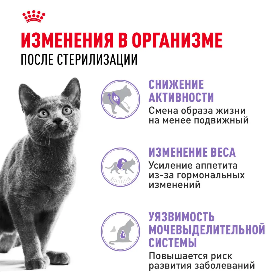 Royal canin sterilised 37 сухой корм для взрослых стерилизованных кошек - 2 кг в интернет-зоомагазине Pets Room