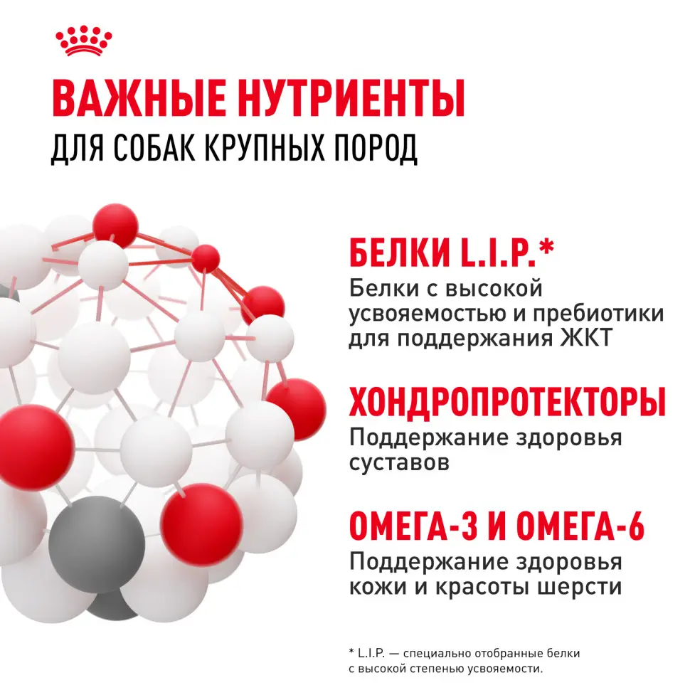 Royal canin maxi adult сухой корм для взрослых собак крупных пород - 3 кг в интернет-зоомагазине Pets Room