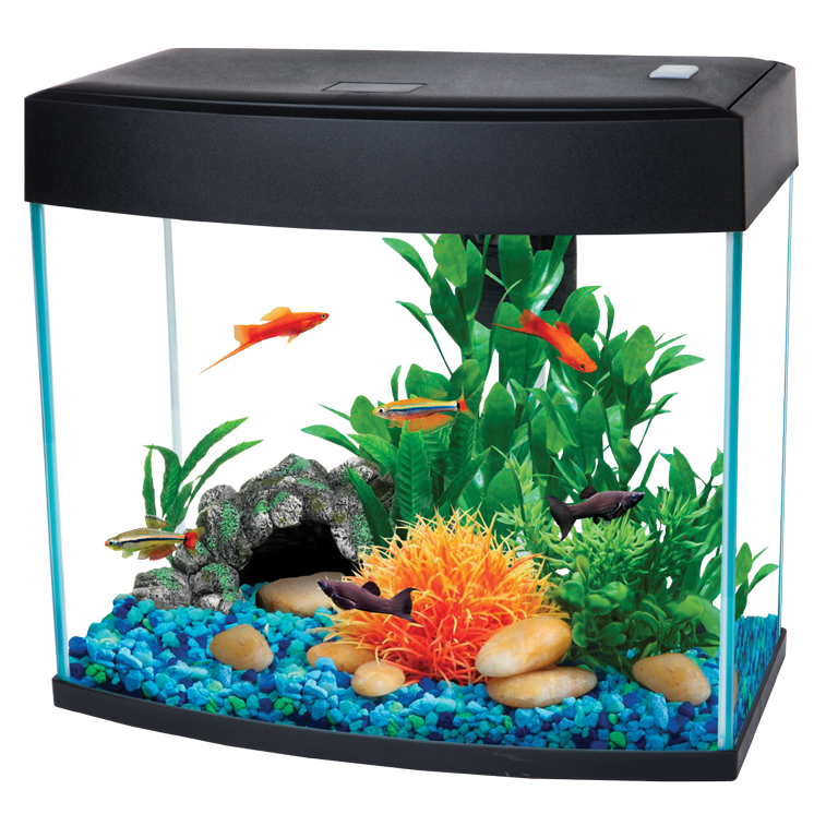 Аквариум панорамный basicp, черный, 14л, 340*192*310мм, aa aquarium в интернет-зоомагазине Pets Room
