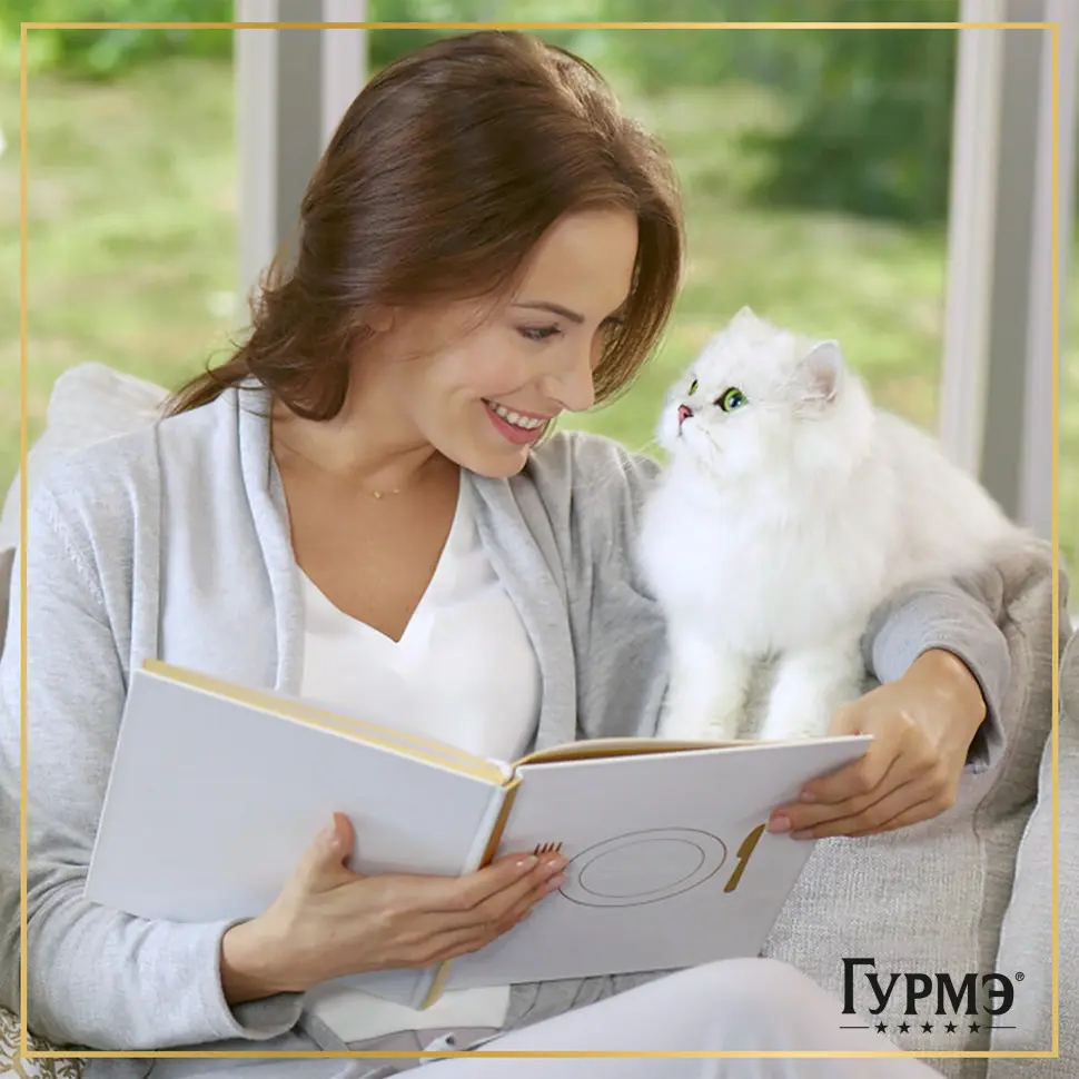 Гурмэ перл нежное филе влажный корм для кошек, с кроликом в соусе 75 г в интернет-зоомагазине Pets Room