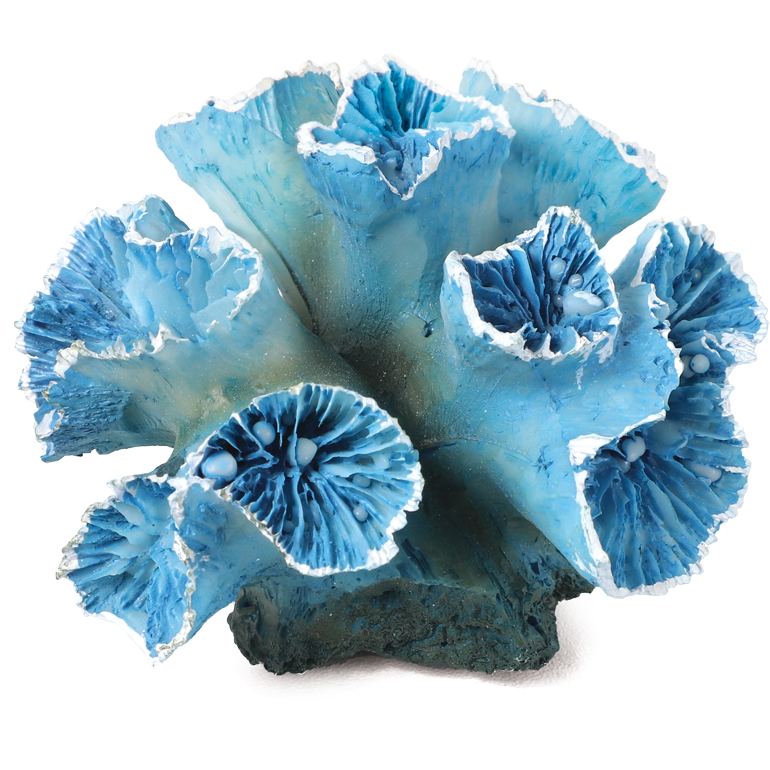 Коралл искусственный "кауластрея", m, сине-белый, 90*85*50мм, laguna в интернет-зоомагазине Pets Room
