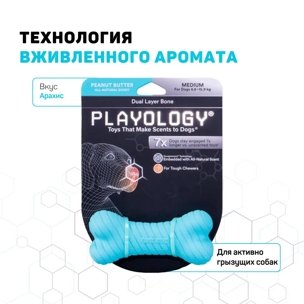Playology dual layer bone двухслойная жевательная косточка для собак с ароматом арахиса, большая, голубой в интернет-зоомагазине Pets Room