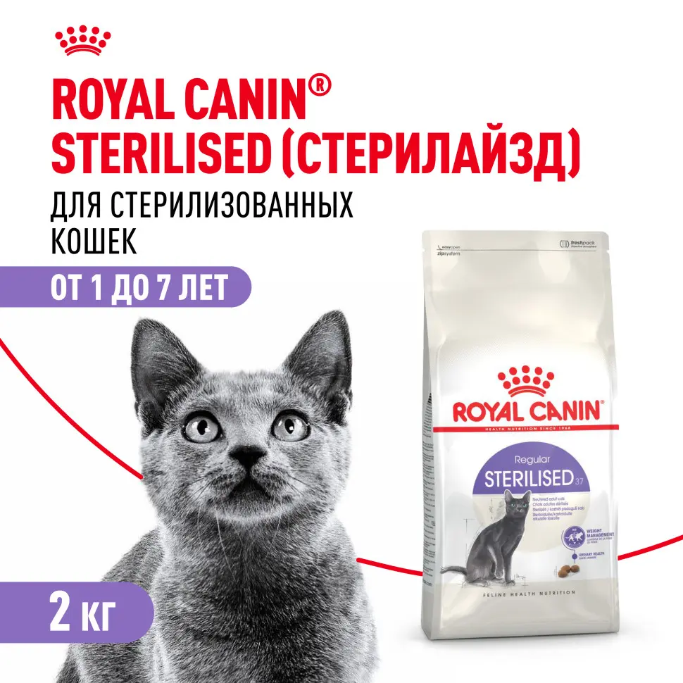 Royal canin sterilised 37 сухой корм для взрослых стерилизованных кошек - 2 кг фото Royal canin sterilised 37 сухой корм для взрослых стерилизованных кошек - 2 кг в интернет-зоомагазине Pets Room