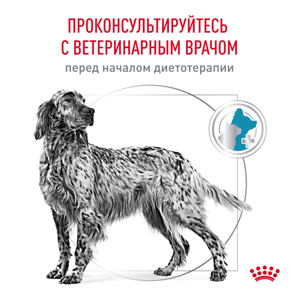 Сухой корм royal canin hypoallergenic dr21 для собак при пищевой аллергии или непереносимости - 2 кг в интернет-зоомагазине Pets Room