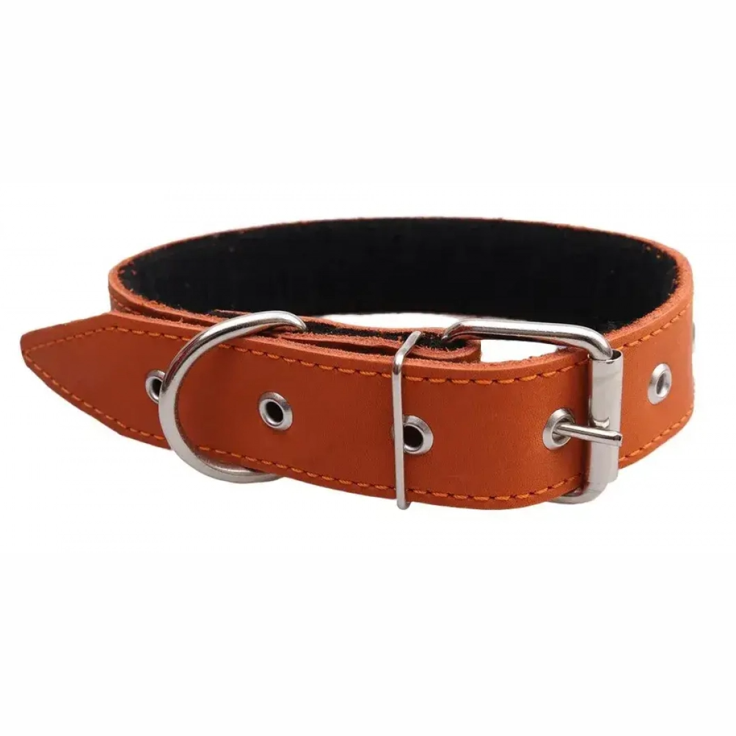 Ошейник кож. светоотраж. №20 в 2 кожи 1/2 (36 см) rich breed фото Ошейник кож. светоотраж. №20 в 2 кожи 1/2 (36 см) rich breed в интернет-зоомагазине Pets Room