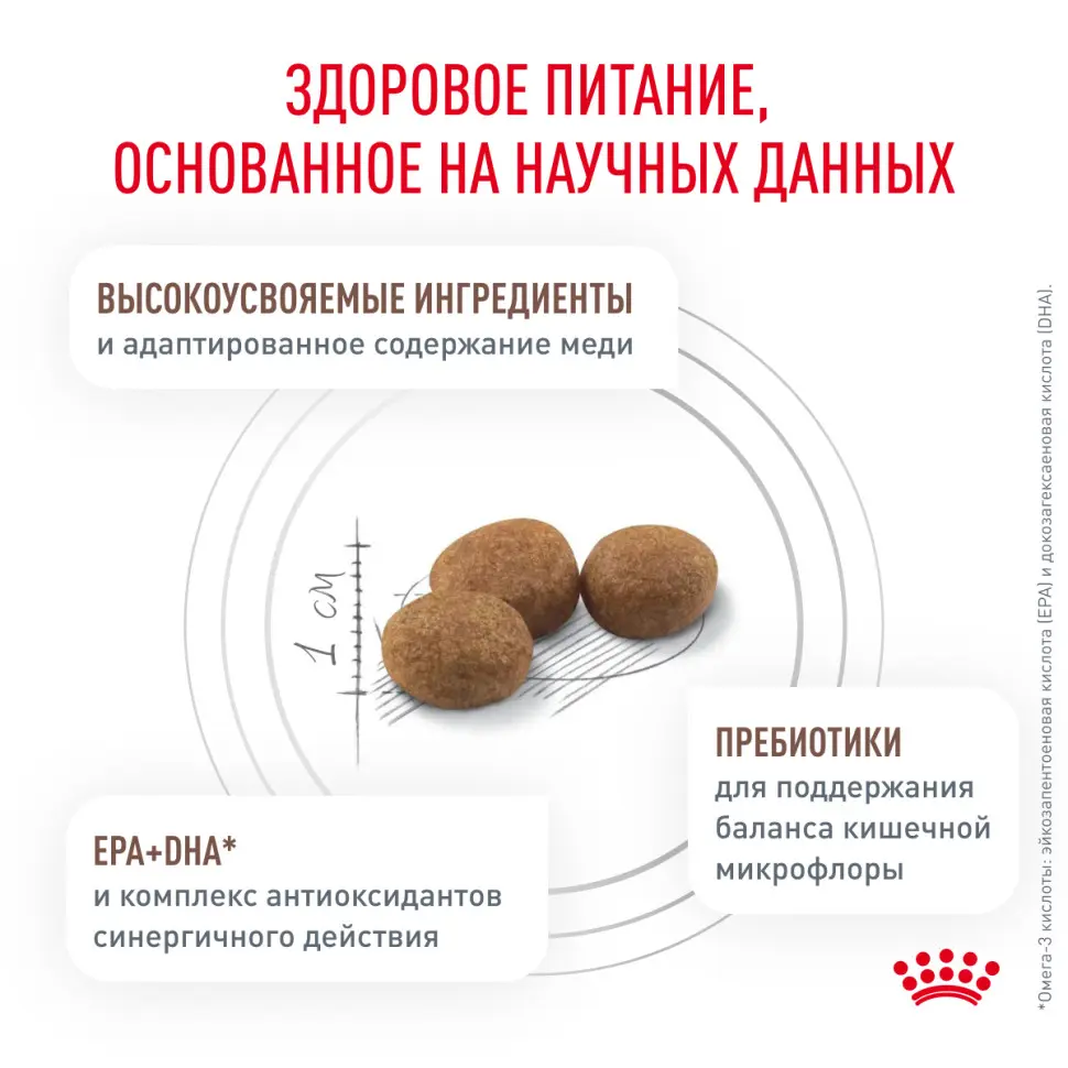 Royal canin hepatic лечебный сухой корм для кошек с заболеваниями печени - 500 г в интернет-зоомагазине Pets Room