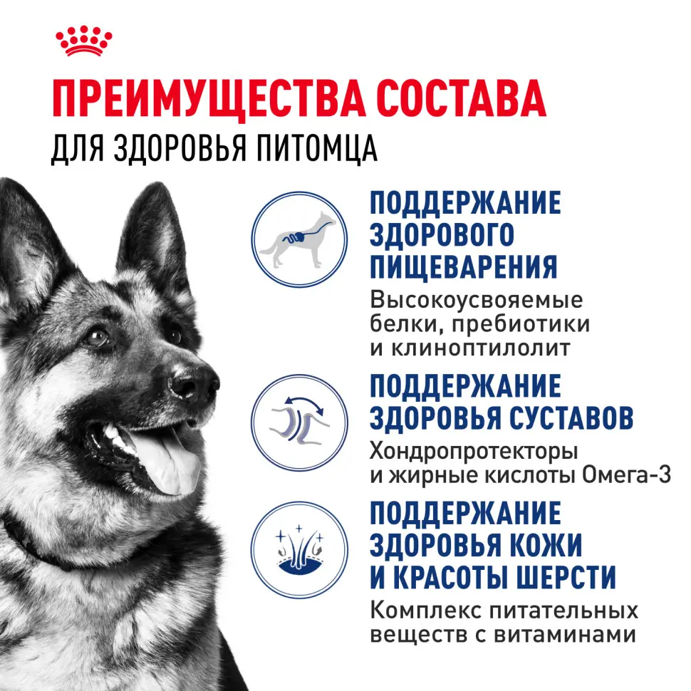 Royal canin maxi adult сухой корм для взрослых собак крупных пород - 3 кг в интернет-зоомагазине Pets Room