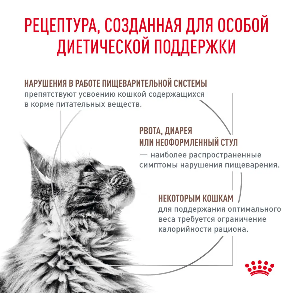 Royal canin gastro intestinal moderate calorie низкокалорийный сухой корм для кошек с нарушениями в работе пищеварительной системы - 400 г в интернет-зоомагазине Pets Room