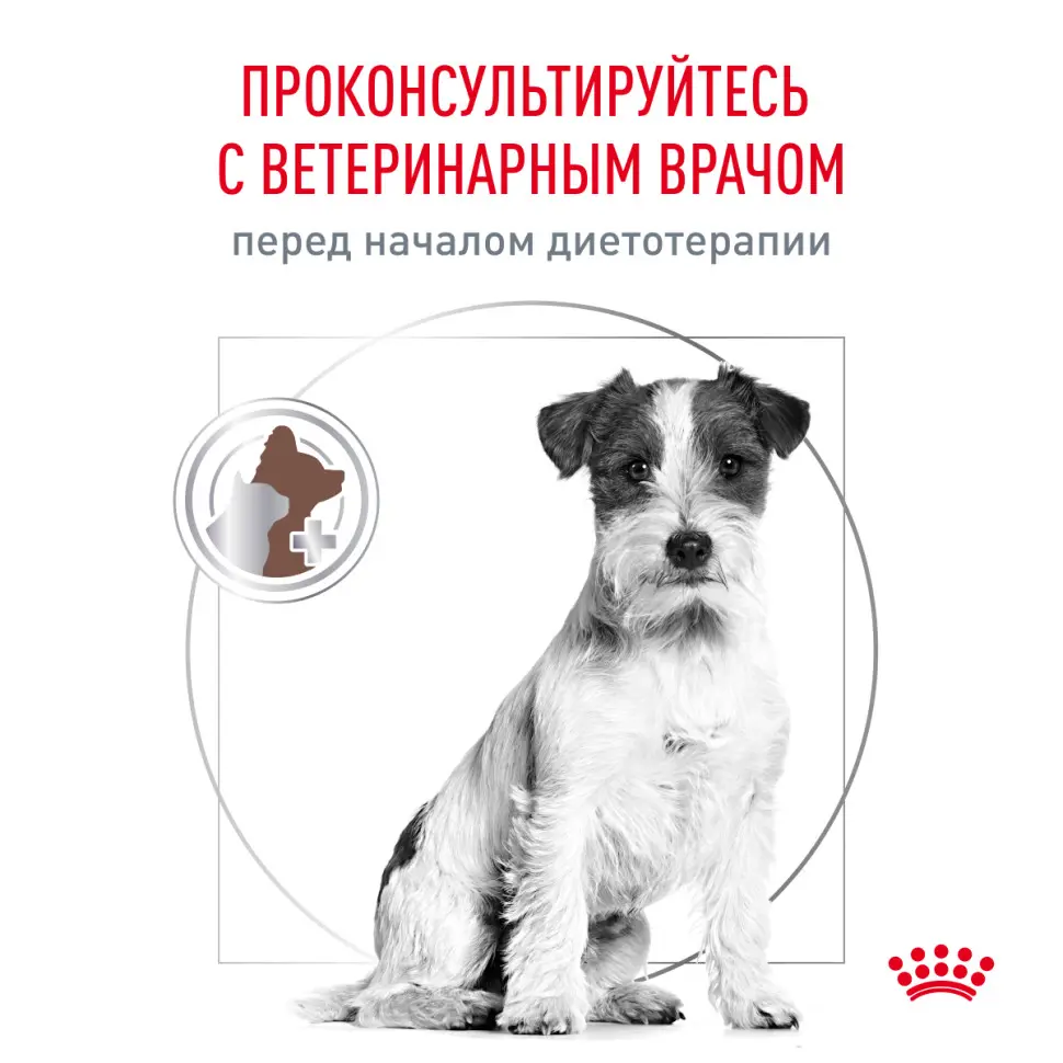Royal canin gastrointestinal low fat small dog сухой корм для взрослых собак мелких пород при нарушениях пищеварения - 1 кг в интернет-зоомагазине Pets Room