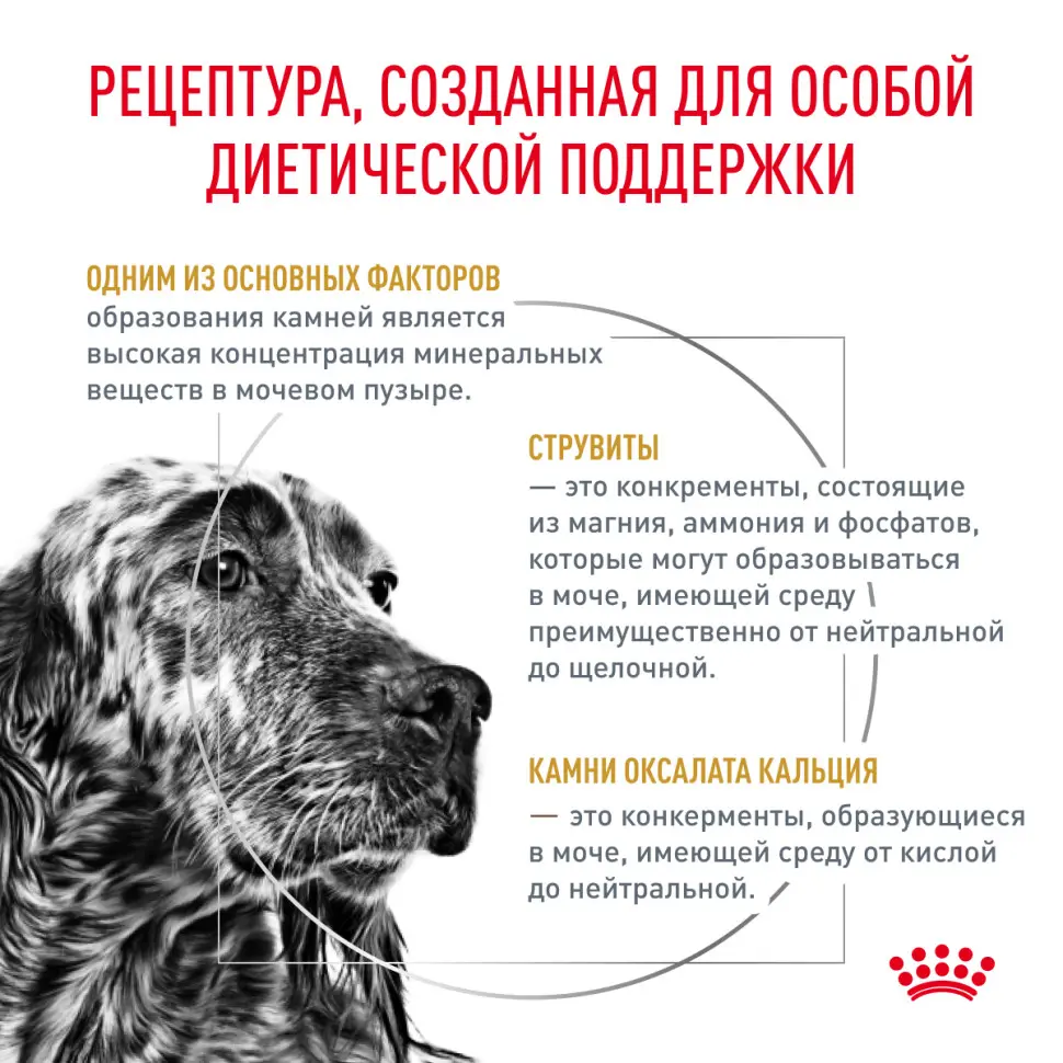Royal canin vd уринари c/o канин 2 кг в интернет-зоомагазине Pets Room