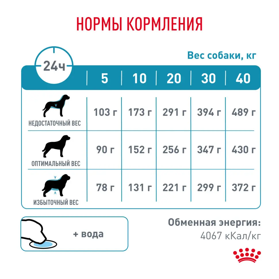 Сухой корм royal canin hypoallergenic dr21 для собак при пищевой аллергии или непереносимости - 2 кг в интернет-зоомагазине Pets Room