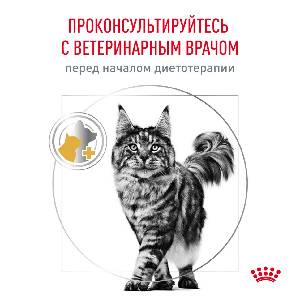 Royal canin urinary s/o moderate calorie feline сухой корм для кошек при заболевании мочевыделительной системы - 400 г в интернет-зоомагазине Pets Room