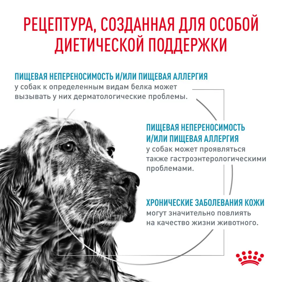 Сухой корм royal canin hypoallergenic dr21 для собак при пищевой аллергии или непереносимости - 2 кг в интернет-зоомагазине Pets Room