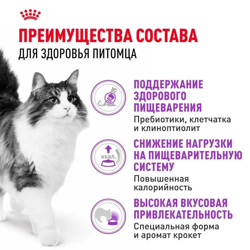 Royal canin sensible 33 сухой корм для взрослых кошек с чувствительной пищеварительной системой - 1,2 кг в интернет-зоомагазине Pets Room