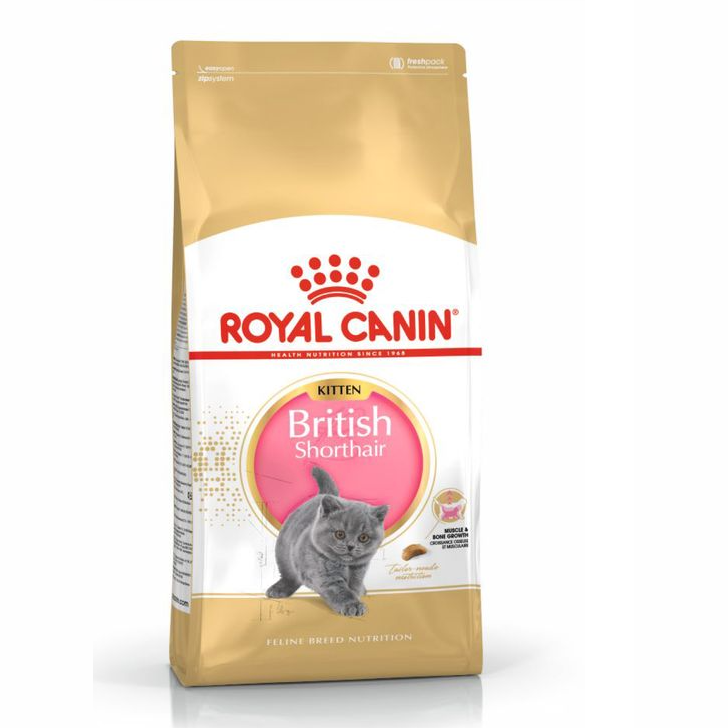 Royal canin british shorthair kitten 2 кг сухой корм для котят породы британской короткошерстной в возрасте от 4 до 12 месяцев 1х6 в интернет-зоомагазине Pets Room