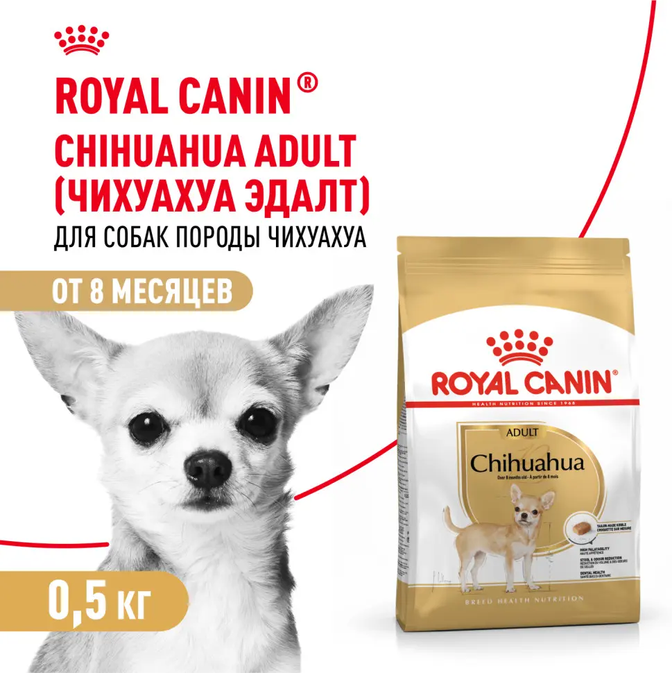 Royal canin adult сухой корм для взрослых собак породы чихуахуа - 500 г в интернет-зоомагазине Pets Room