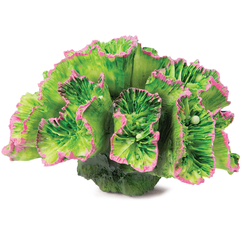 Коралл искусственный "кауластрея", s, зеленый, 70*50*45мм, laguna в интернет-зоомагазине Pets Room
