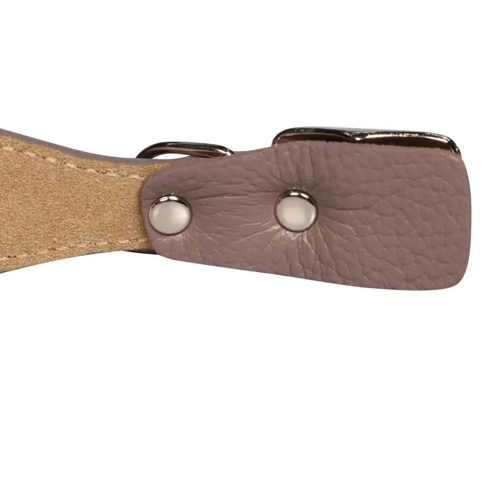 Mr.kranch ошейник для собак из натуральной кожи с qr-адресником, 22-26 см, бежевый в интернет-зоомагазине Pets Room