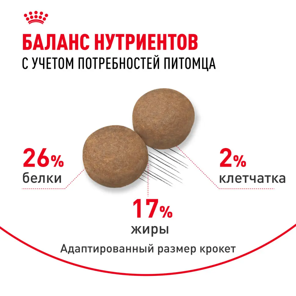Royal canin maxi adult сухой корм для взрослых собак крупных пород - 3 кг в интернет-зоомагазине Pets Room