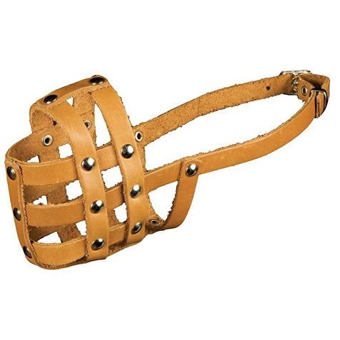 Намордник кожаный № 0 (кокер-спаниель, средний пудель) в интернет-зоомагазине Pets Room