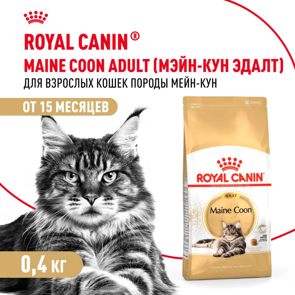 Royal canin maine coon adult сухой корм для взрослых кошек породы мейн - кун - 400 г фото Royal canin maine coon adult сухой корм для взрослых кошек породы мейн - кун - 400 г в интернет-зоомагазине Pets Room