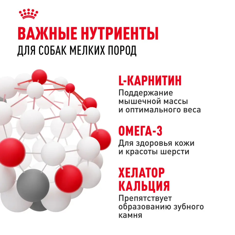 Royal canin mini adult сухой корм для собак мелких пород - 800 г в интернет-зоомагазине Pets Room